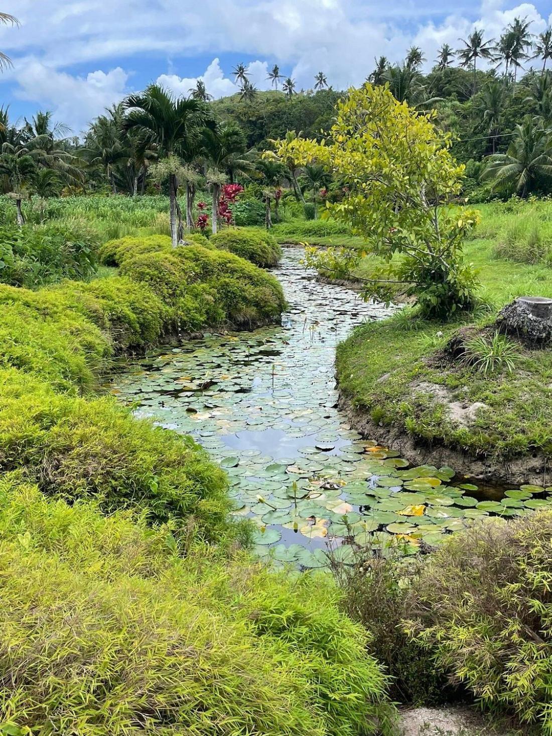 Sigasiga Sands Boutique Bungalows Savusavu Esterno foto